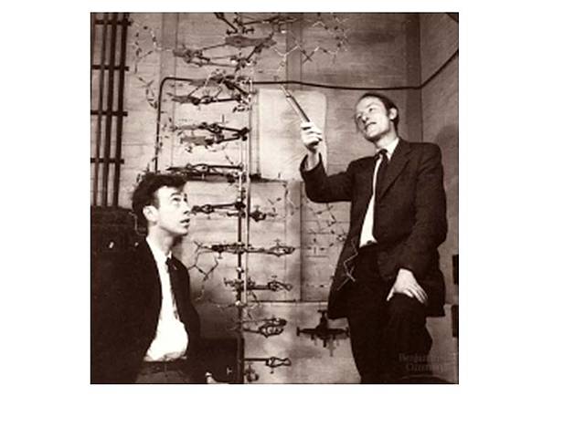 El acceso al nivel molecular (1940)