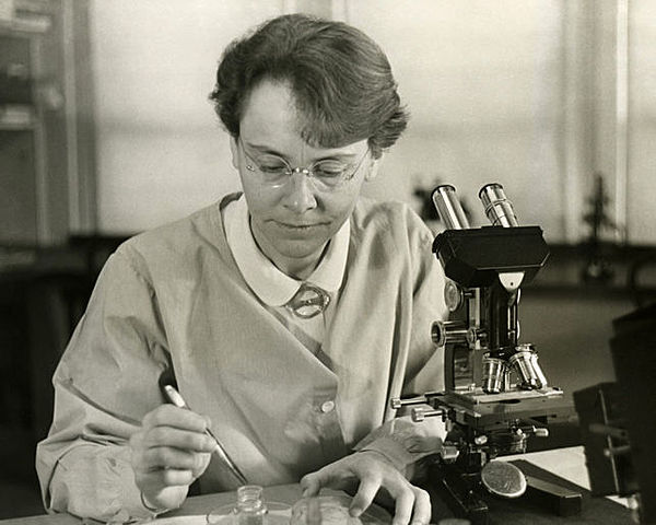 Barbara McClinton (1902-1992)