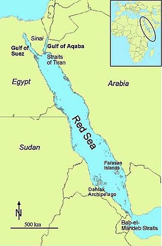 Egyptians Take the Sinai Peninsula