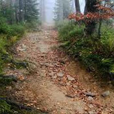 Timeline: Path to Teaching CS