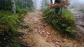 Timeline: Path to Teaching CS