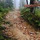 Rocky path