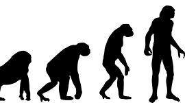 Timeline: ORIGEN DE LA INVESTIGACIÓN