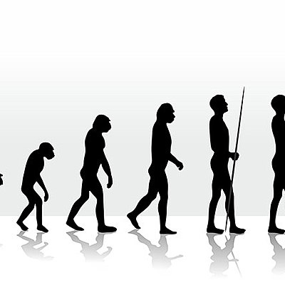 Timeline: Evolución del Concepto de RED