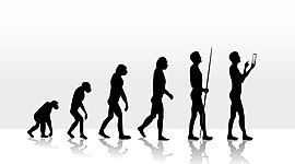 Timeline: Evolución del Concepto de RED