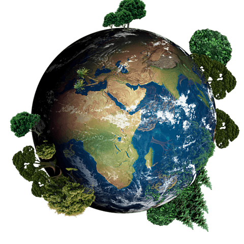 Primer Reserva de la Biosfera
