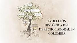 Timeline: EVOLUCIÓN ESTRUCTURA ORGANIZACIONAL