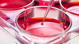 Timeline: Historia del cultivo celular