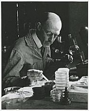 Ross Granville Harrison