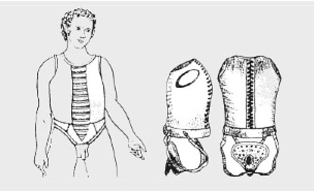 CAMPAÑAS EXTREMAS ( Siglo XIX)