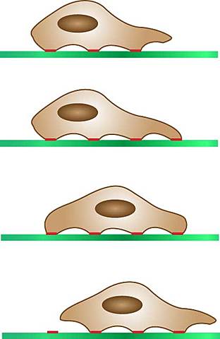 Abercrombie & Heaysman