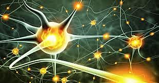 Rita Levi-Montalcini neuróloga italiana y Stanley Cohen bioquímico estadounidense Reciben el Premio Nobel en 1986