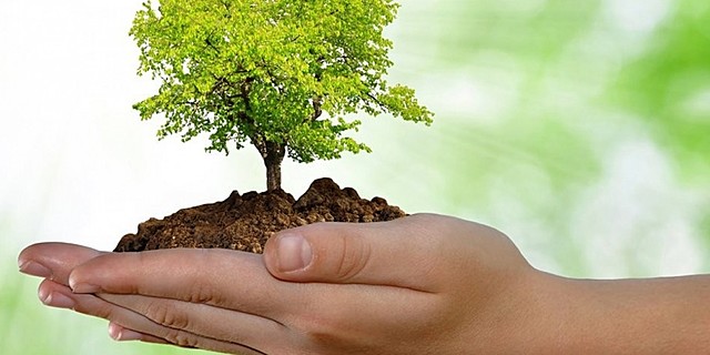 Desarrollo Sostenible