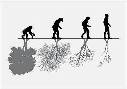 Coloquio de Princeton