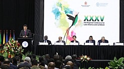 35ª conferencia regional de la FAO, montego bay Jamaica, 5-8 marzo 2018