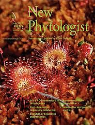 ARTHUS TANSLEY 1871-1955