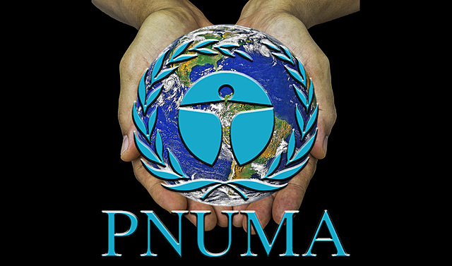 Creación de (PNUMA)