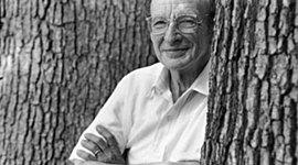 Timeline:  INFANCIA Y ADOLESCENCIA DENTRO DE LOS MICROSISTEMAS