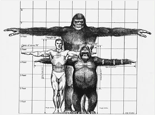 El surgimiento de los homínidos y de las características únicas de su cerebro.