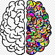 Kisspng portable network graphics human brain clip art ima 5be6aa3abbbb57.195559101541843514769