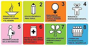 Objetivo de Desarrollo del Milenio