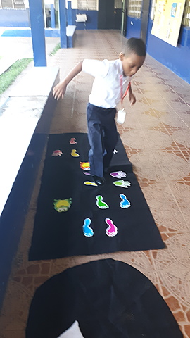 Comprensión lectora