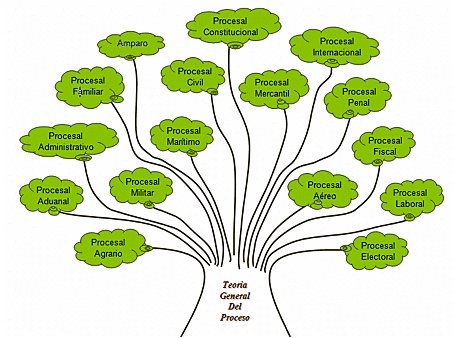 Identificación del caso.