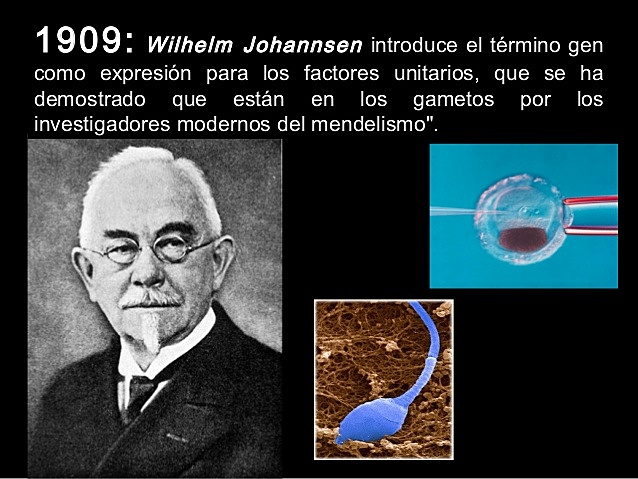 1909: Wilhelm Johannsen