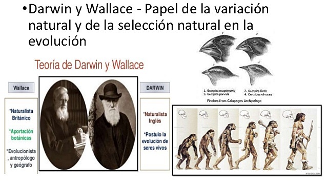 1809: Charles Darwin.