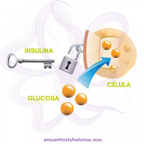 1982: La empresa Eli Lilly