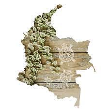 Plan estratégico Nacional de Mercados Verdes