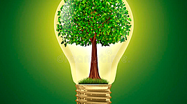 Timeline: Desarrollo Sostenible