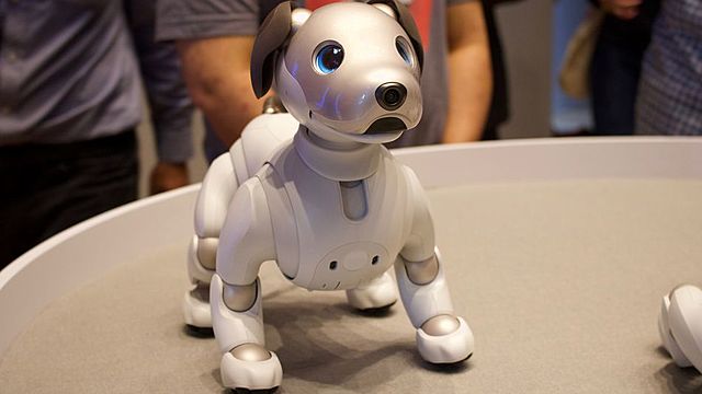 Aibo