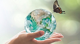 Timeline: DESARROLLO SOSTENIBLE