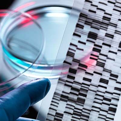 Timeline: The Important Contributions in Forensic Science Timeline