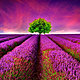 Beautiful nature wallpaper 002