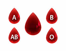 Discovering of the blood types.