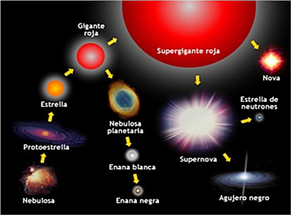 Hertzsprung describe a las estrellas gigantes y enanas