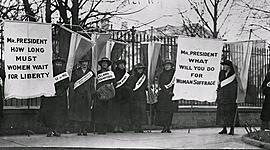 Timeline: O processo de aquisição do voto feminino