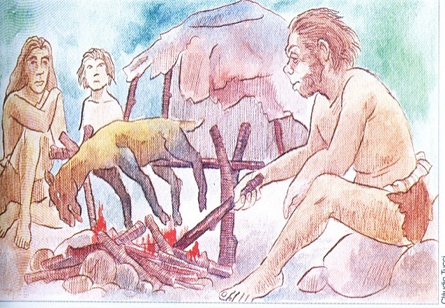 Alimentação na pré-história