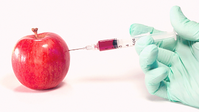 Biotecnologia nos alimentos