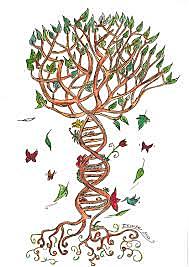 MUTACIÓN DE POBLACIÓN