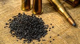 Timeline: Grandes marcos na evolução das guerras