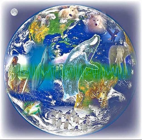 Conferencia internacional de la biósfera