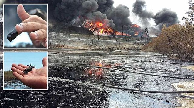 Los límites del crecimiento - El club de Roma