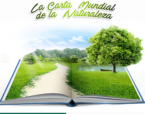 Carta Mundial de la ONU para la Naturaleza