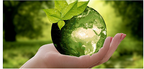 V Programa de Acción en Materia de Medio Ambiente