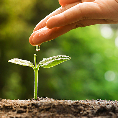 Timeline: Evolución del Desarrollo Sostenible Línea del Tiempo