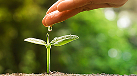 Timeline: Evolución del Desarrollo Sostenible Línea del Tiempo