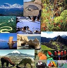 RESERVAS DE BIOSFERA